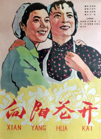 夫妇赞助